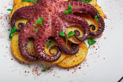 Octopus with potatoes and spices, on a light plate, top view, no people, homemade, close-up