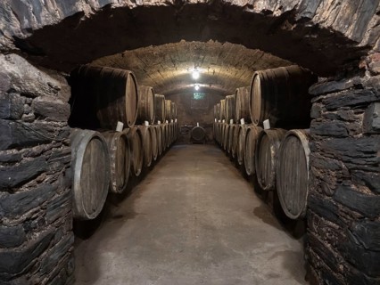 Oak wine barrels in the cellar of a winery, wine cellar, Bernkastel-Kues, Moselle,