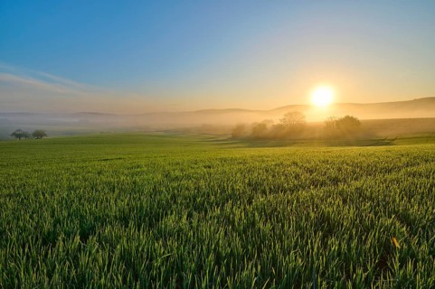 A picturesque sunrise over a wide green field and a gentle hilly landscape, Mönchberg, Mltenberg,