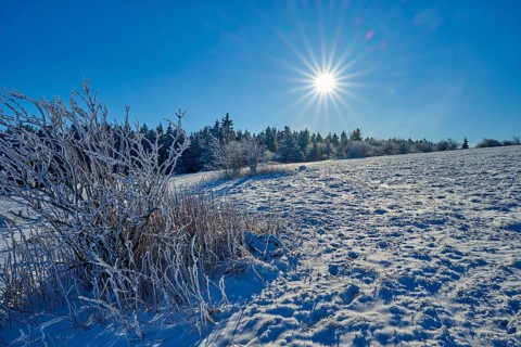 Snow-covered field in quiet winter landscape with bright sunshine and clear view, Winter,