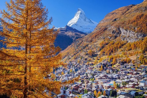 View of the village with Matterhorn 4478m and golden yellow larches in autumn, Zermatt, Mattertal,