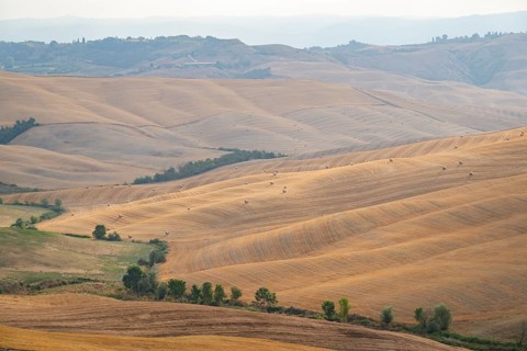 Straw bales on a harvested grain field in a typical Tuscan landscape in Crete Senesi with hills,