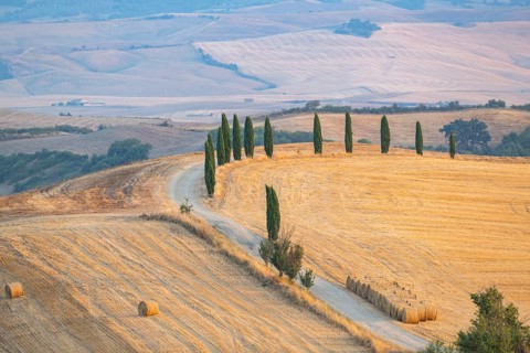 Typical Tuscan landscape in Val d'Orcia with hills, trees, fields, cypresses and farm road in