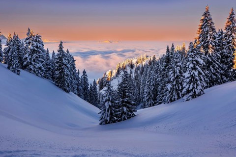 Sunrise snow tour on the Tegelberg in the Allgäu in Bavaria. Winter Wonder Land, Germany, Europe