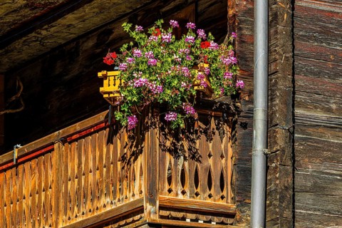 Balcony decorated with flowers, old wooden house, historic village centre, Grimentz, Val