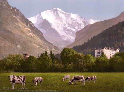 Jungfrau und Jungfraublick Hotel, Bernese Hotel, Switzerland, Historic, digitally restored