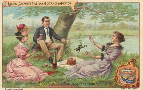 Picture series Scenes from everyday life, picnic with surprise, a frog jumps on the cake, Liebig