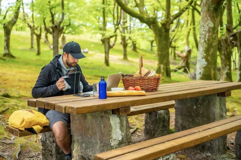 A young Caucasian father teleworking sitting at a picnic table with computer in the woods. Summer