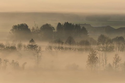 Foggy mood, fog, morning light, backlight, autumn, Loisach-Lake Kochel-Moor, foothills of the Alps,