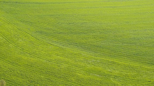 Meadow, tractor tracks, Swabian Alb, Baden-Württemberg, Germany, Europe