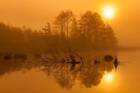 Mystical landscape with reflecting water and sunset atmosphere, Schwenninger moss,