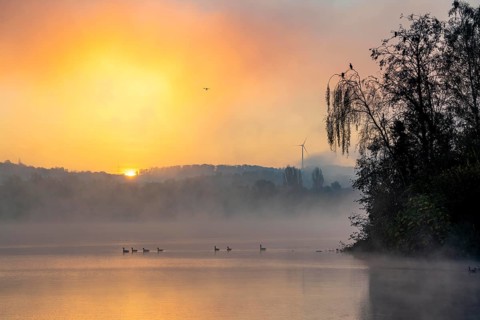 Sunrise, autumnal atmosphere at Lake Baldeney, near Haus Scheppen, in Essen, North