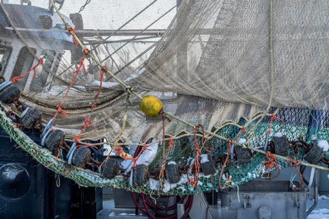 The fishing village of Greetsiel, historic fishing harbour, with the largest shrimp cutter fleet in