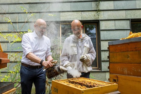 Jens Ardelt and State Secretary Thomas Kralinski hiving a beehive. Since the beginning of 2023,