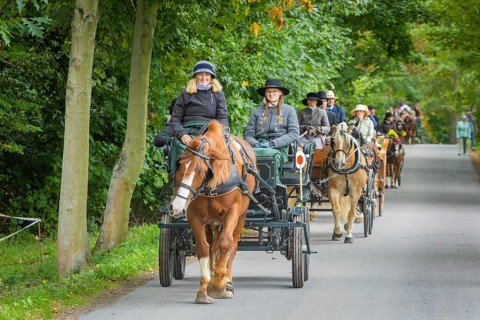 Presentation and route ride, all carriages in stylish tension, popular sporting event over approx.