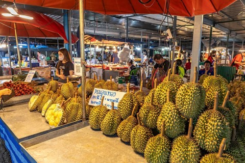 Durian fruit stall at the night market in Trat, Thailand, Asia