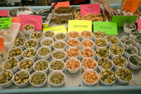 Fishmonger display of varieties of shellfish on ice sale