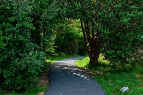 A quiet, winding path amidst green trees and lush nature, Cathedral Cove, Hahei, Coromandel