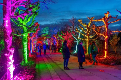 Parkleuchten, event in winter, in the Grugapark in Essen, many different light installations,