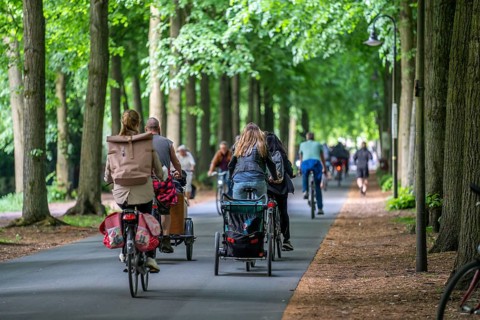 Promenade cycle path, tree-lined, car-free, approximately 4.5 km long ring road around the city