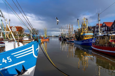 Cutter harbour Neuharlingersiel, shrimp cutter, East Frisia, Lower Saxony, Germany, Europe