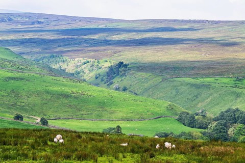 Farms over North Pennines, Cumbria, Durham, Northumberland, North Yorkshire, England, United