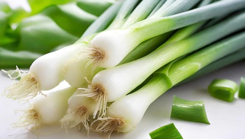 Vegetable, spring onion or spring onion, also known as winter onion, Allium fistulosum
