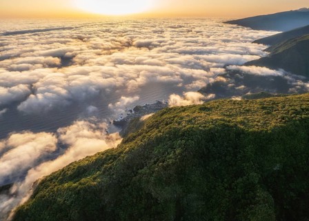 Aerial view of sunrise above clouds and green hills at Fanal mountain, Madeira island, Portugal,