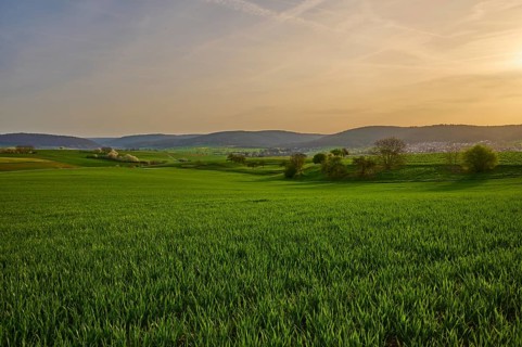 Green meadow in hilly landscape at sunrise with soft clouds in the sky, Mönchberg, Mltenberg,