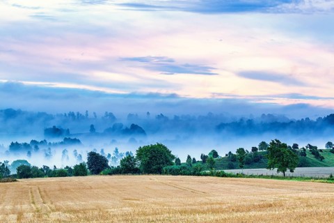 Morning mist in a rural landscape in a valley by a field in late summer