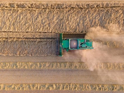 A combine harvester harvests a grain field near Frankfurt am Main. (Aerial photo with a drone),