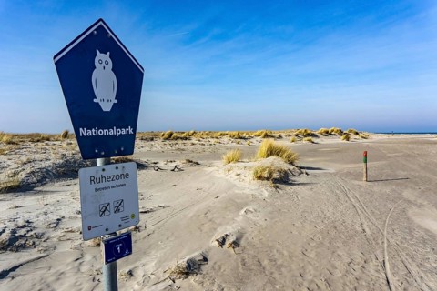 The East Frisian North Sea island of Juist in winter, marsh meadows in the west of the island,