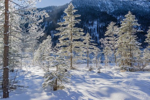 Isar valley in winter at temperatures of minus 18 degrees Celsius. Snow covered landscape with the