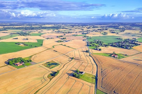 Aerial view over agricultural wheat fields, meadows, farmland and farms in Skåne län, Scania