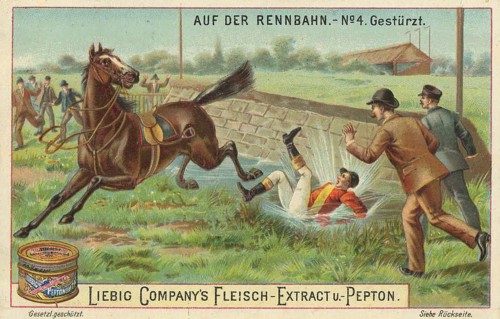 Series of pictures At the racecourse, The rider is thrown off and lands in the ditch, Liebig