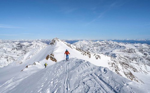 Ski tourers on a mountain ridge, summit of Monte Cevedale, mountain panorama, southern Zufallspitze