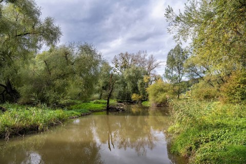 The Stockacher Aach flows through the autumn-coloured Stockacher Aachried into western Lake