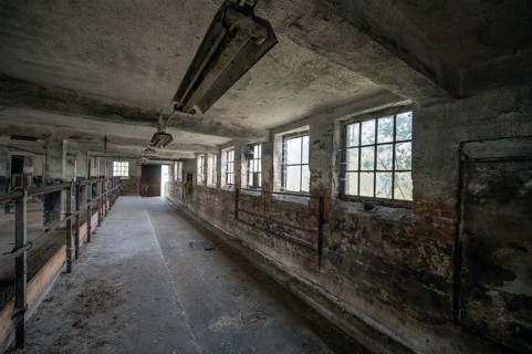 Empty cowshed of a former LPG of the GDR, Mecklenburg-Vorpommern, Germany, Europe