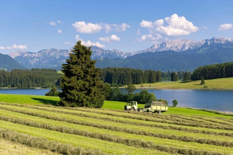 Summer landscape with a tractor on a hayfield near a lake, surrounded by forests and mountains,