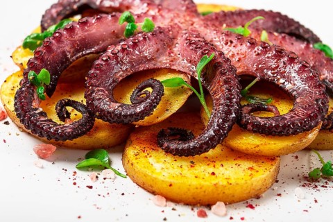 Octopus with potatoes and spices, on a light plate, top view, no people, homemade, close-up
