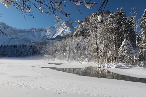 Reflection of trees on Lake Almsee which is partly frozen and snow covered. Snow on the forest with