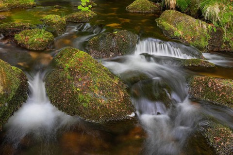 Kleine Ohe creek below Waldhaeuser village in the Bavarian Forest Nationalpark. Flowing water,