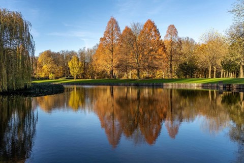 Autumn in the park of Hülshoff Castle, Havixbeck, Münsterland, North Rhine-Westphalia, Germany,