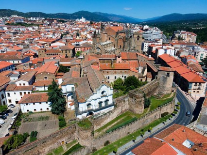 Historic buildings with red tiled roofs and castle walls in a town on a sunny day, aerial view,