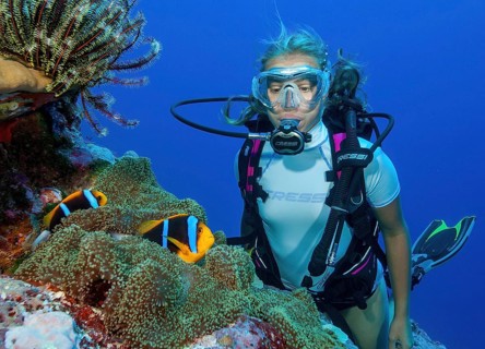 Diver looking at a pair of orange-fin clownfish (Amphiprion chrysopterus) at close range