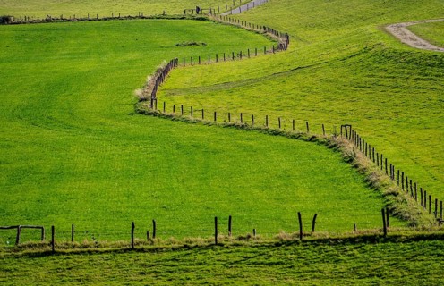 Lower Rhine landscape, dyke foreland near Grieth, North Rhine-Westphalia, Germany, Europe