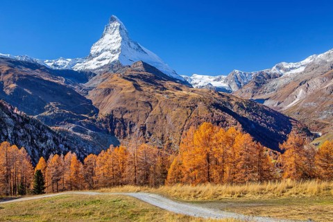 Hiking trail on the Riffelalp with golden yellow larches and Matterhorn 4478m in autumn, Zermatt,