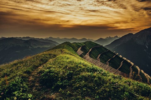 Hiking tour on the Hönig mountain in the Lechtal valley near Berwang in Tyrol, Austria, Europe