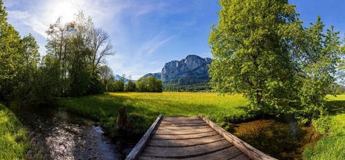Fuschler Ache and spring flower meadow with Drachenwand, Mondseeland, Salzkammergut, Upper Austria,