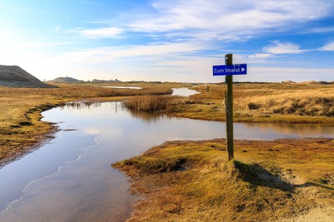 The footpaths in the dune landscape at the Postbake have been transformed into lakes by the